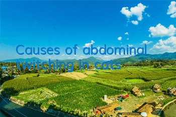 Causes of abdominal twitching in cats