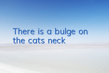 There is a bulge on the cat’s neck