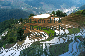 If a cat can drink water, it means he doesn’t have rabies.