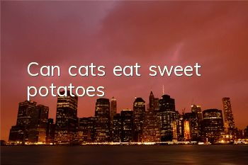 Can cats eat sweet potatoes?