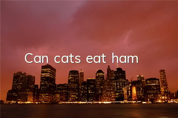 Can cats eat ham?