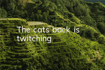 The cat’s back is twitching