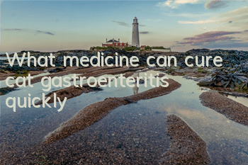 What medicine can cure cat gastroenteritis quickly?