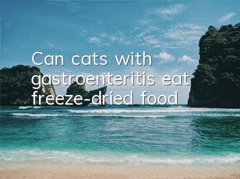 Can cats with gastroenteritis eat freeze-dried food?