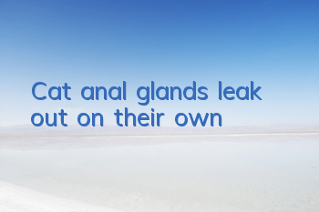 Cat anal glands leak out on their own