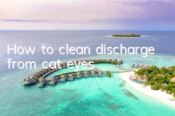 How to clean discharge from cat eyes?