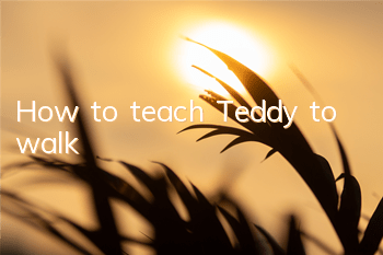 How to teach Teddy to walk