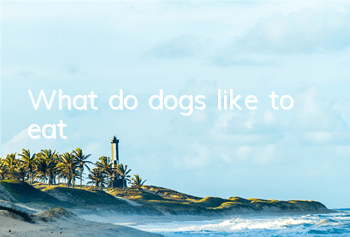 TWhat do dogs like to eat?