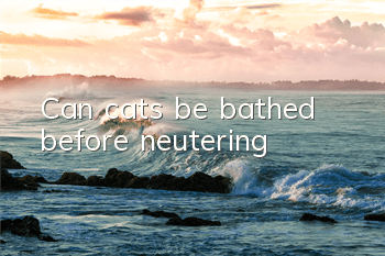 Can cats be bathed before neutering?