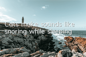 Cats make sounds like snoring while sleeping