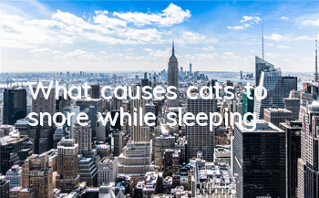 What causes cats to snore while sleeping?