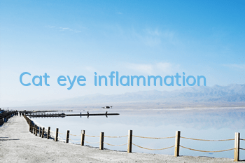 Cat eye inflammation