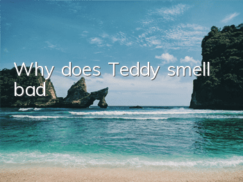 Why does Teddy smell bad?
