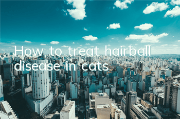 How to treat hairball disease in cats