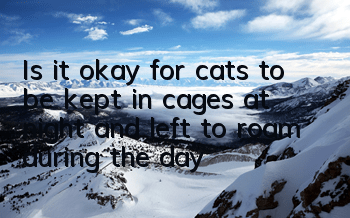 Is it okay for cats to be kept in cages at night and left to roam during the day?