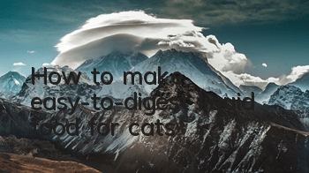 How to make easy-to-digest liquid food for cats