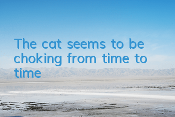 The cat seems to be choking from time to time