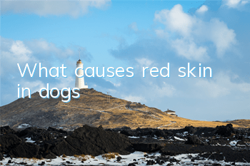 TWhat causes red skin in dogs?