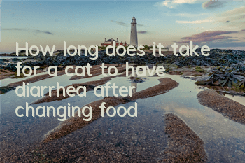 How long does it take for a cat to have diarrhea after changing food?