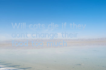 Will cats die if they don’t change their food too much?