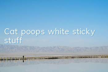 Cat poops white sticky stuff