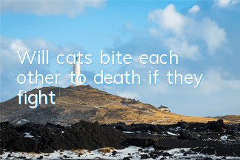 Will cats bite each other to death if they fight?