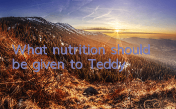 What nutrition should be given to Teddy?