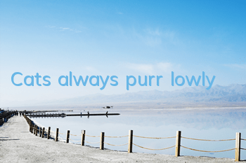 Cats always purr lowly
