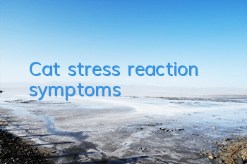 Cat stress reaction symptoms