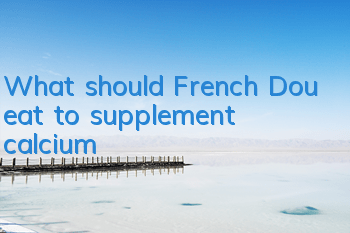 What should French Dou eat to supplement calcium?