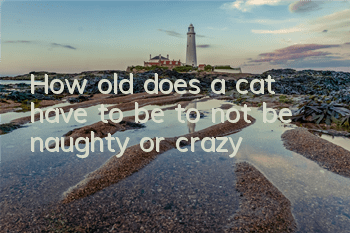 How old does a cat have to be to not be naughty or crazy?