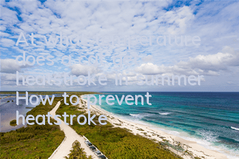 At what temperature does a cat get heatstroke in summer? How to prevent heatstroke?