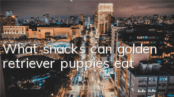 What snacks can golden retriever puppies eat?