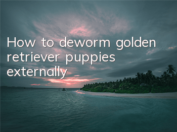 How to deworm golden retriever puppies externally