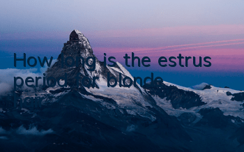 How long is the estrus period for blonde hair?