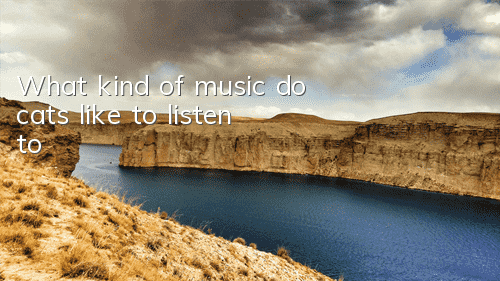 What kind of music do cats like to listen to?