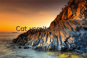Cat vomits hair