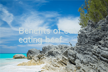 Benefits of cats eating beef