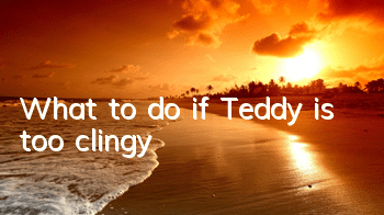 What to do if Teddy is too clingy