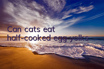 Can cats eat half-cooked egg yolks?