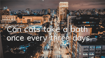 Can cats take a bath once every three days?