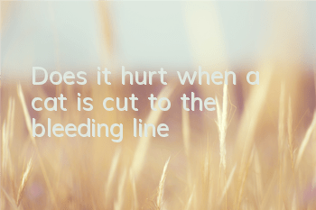 Does it hurt when a cat is cut to the bleeding line?