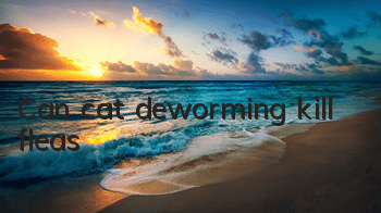 Can cat deworming kill fleas?