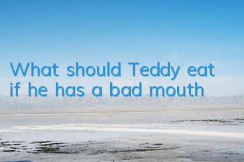 What should Teddy eat if he has a bad mouth?