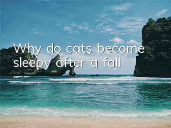 Why do cats become sleepy after a fall?