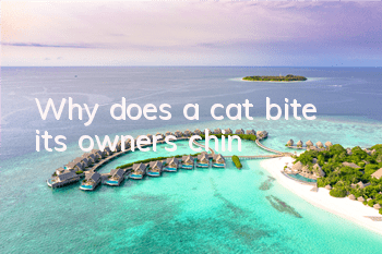 Why does a cat bite its owner's chin?