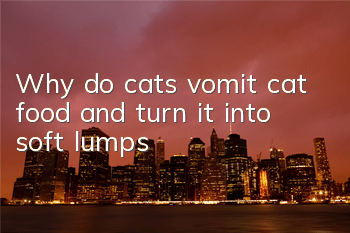 Why do cats vomit cat food and turn it into soft lumps?