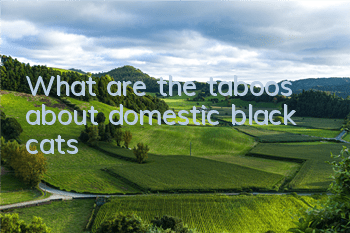 TWhat are the taboos about domestic black cats?