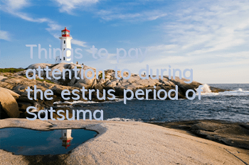 Things to pay attention to during the estrus period of Satsuma