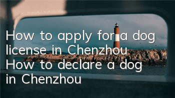 THow to apply for a dog license in Chenzhou How to declare a dog in Chenzhou